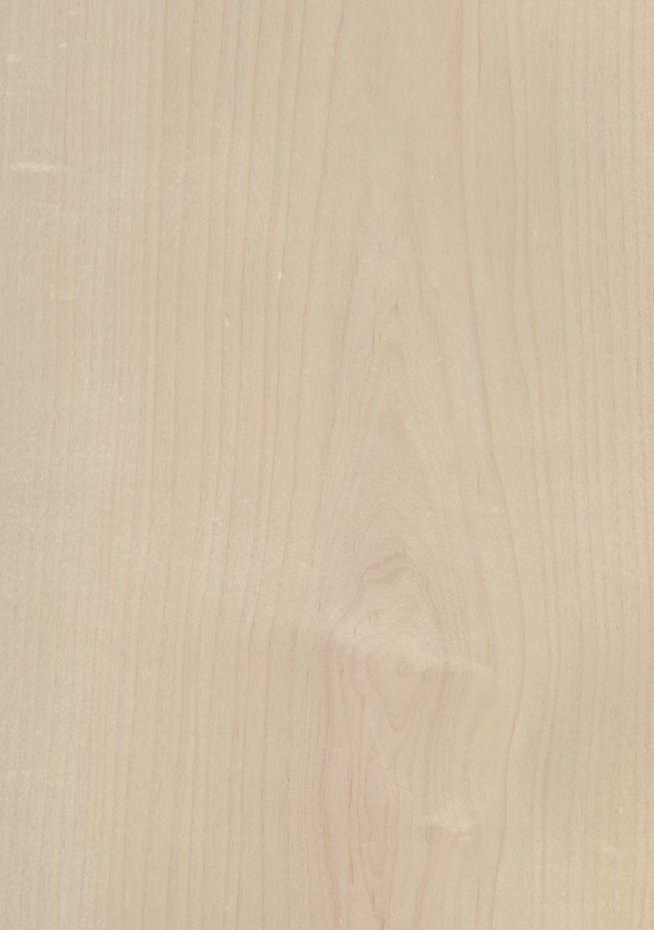 SG_Ahorn_am_Maple_Furnier_veneer_Aufbau_Detail__Large_