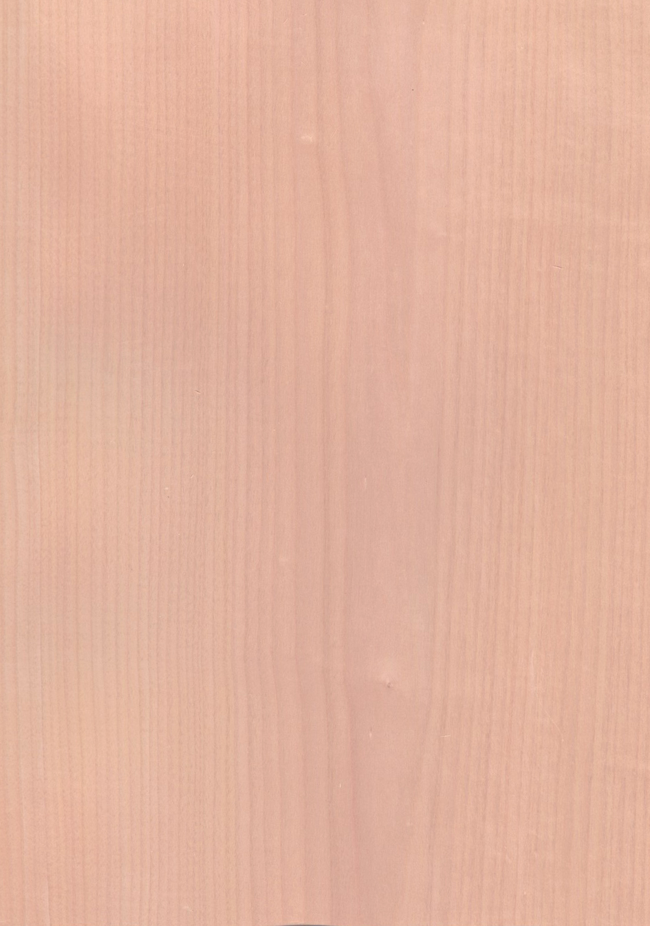 Spitzahorn_europ_Furnier_weathered_sycamore_veneer_04