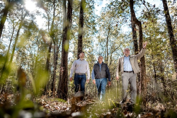 Bentley Veneer Hunters Schorn und Groh