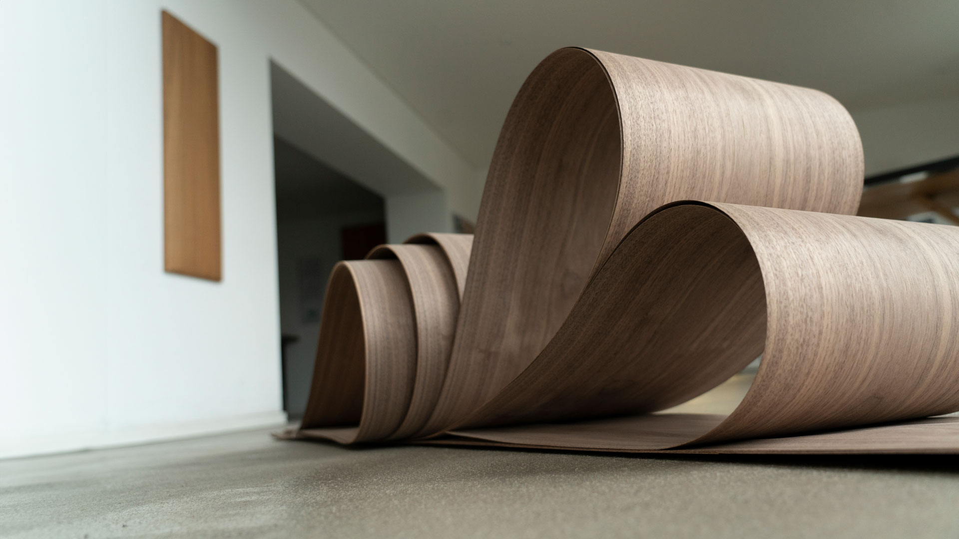 Schorn-&-Groh_Furnierwissen_Furniere_Produktion_Geschichte_Qualität