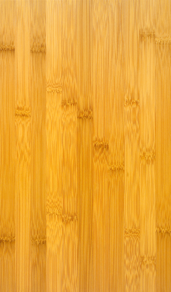Bambus-furnier