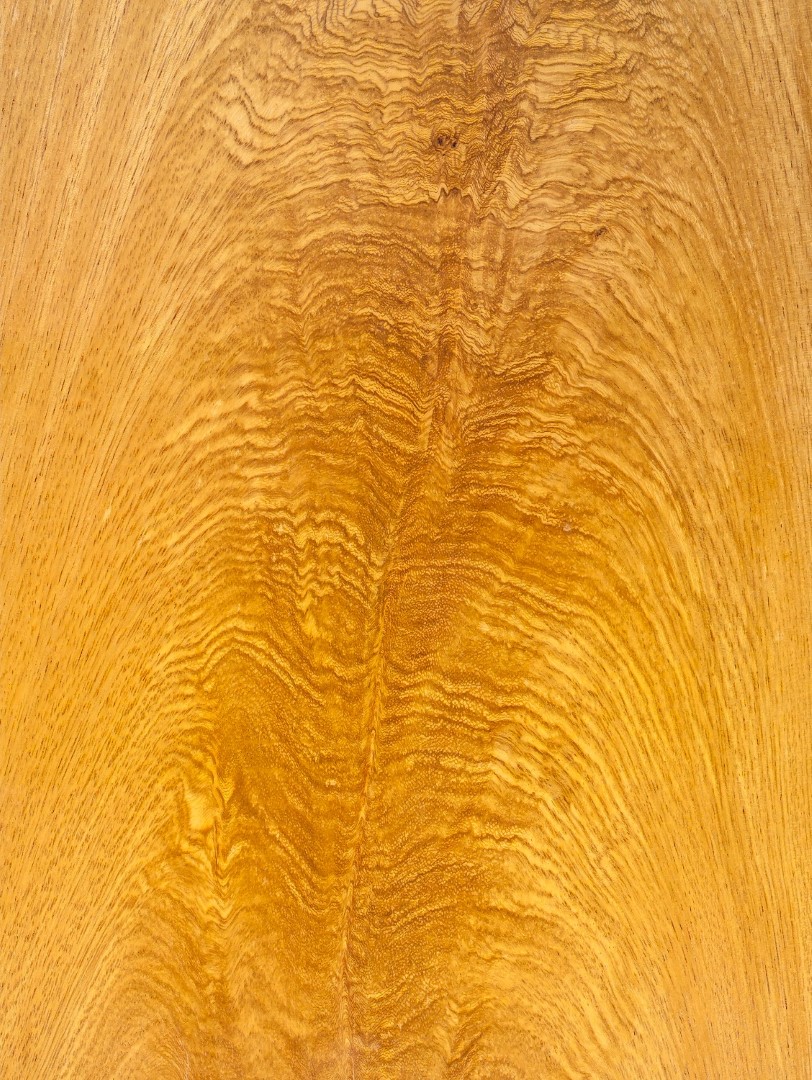 Cerejeira-pyramide-furnier_01