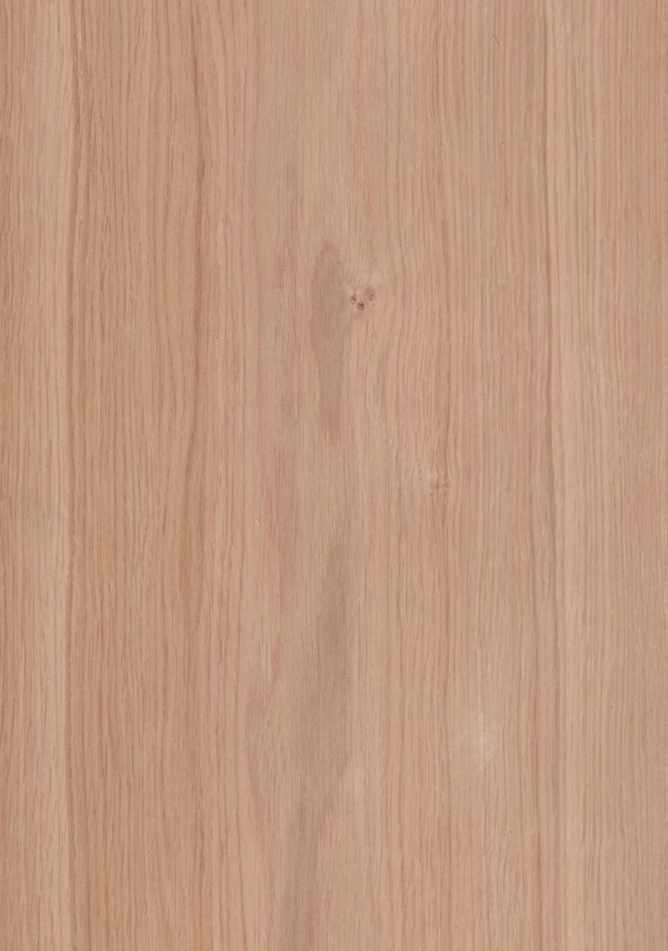 Eur_Eiche_Oak_Furnier_veneer_Aufbau_Detail__Large_