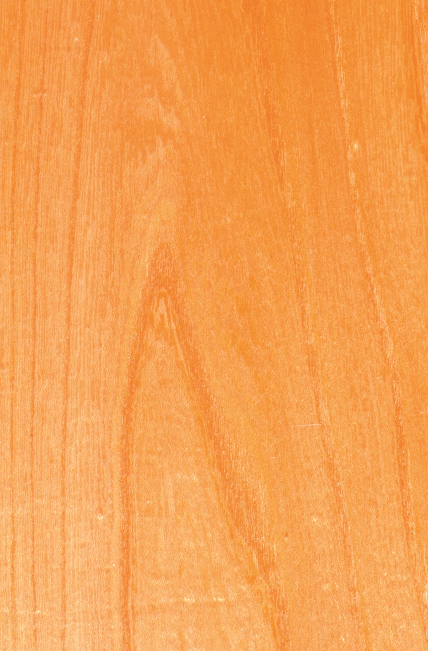 Europaeischer-ruester-furnier