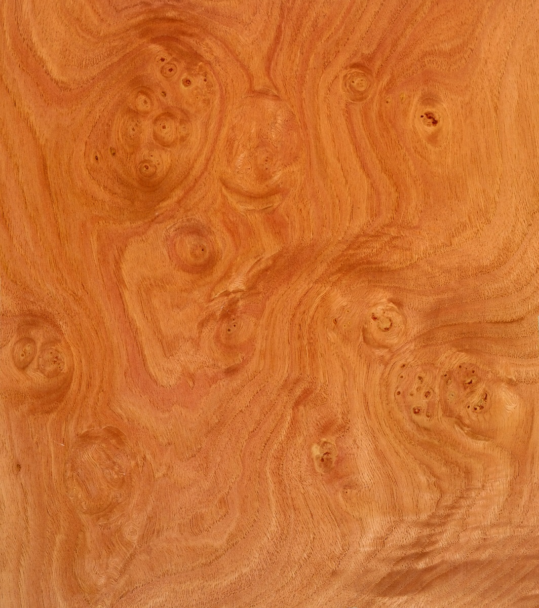 Kastanie-maser-furnier