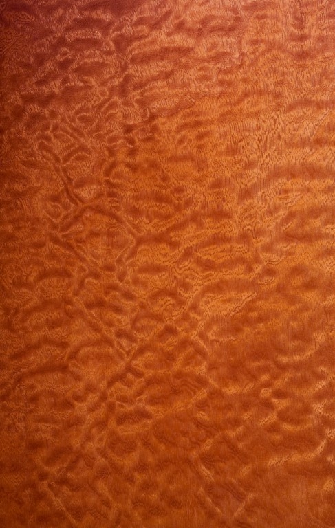 Mahagoni-sapeli-pommele-furnier