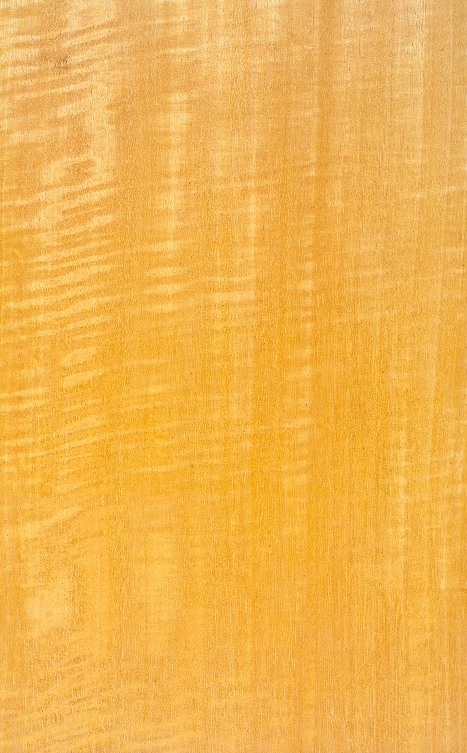 Movingui-geriegelt-furnier