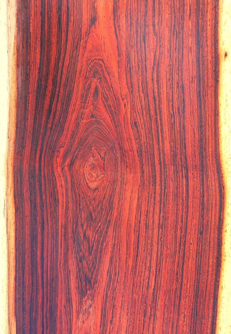 Palisander-rio-furnier_01