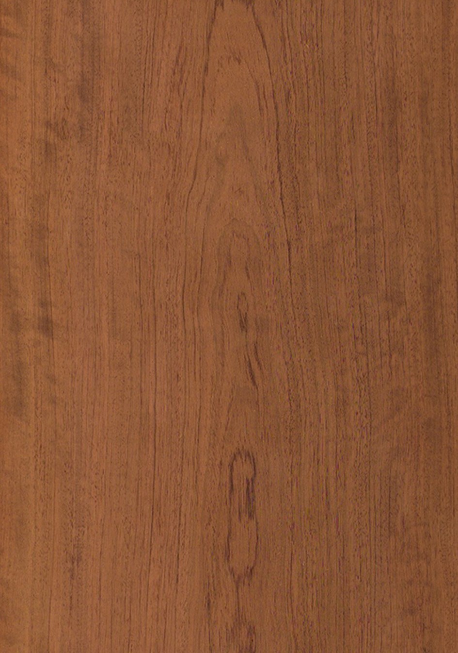 SG_Bubinga_Furnier_veneer_Aufbau_Detail__Large_