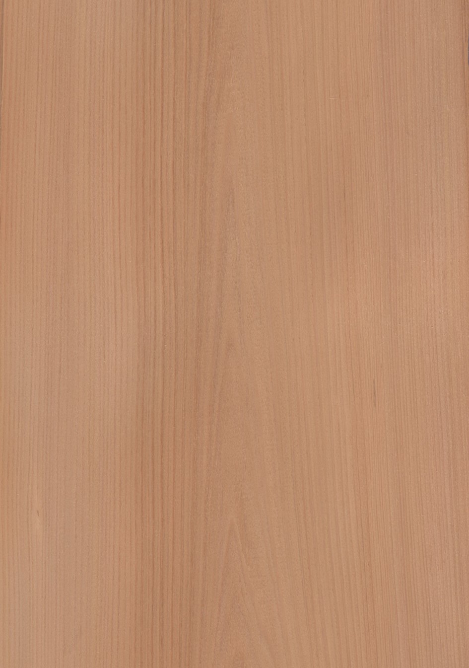 SG_Cypresse_Cypress_Furnier_veneer_Aufbau_Detail__Large_