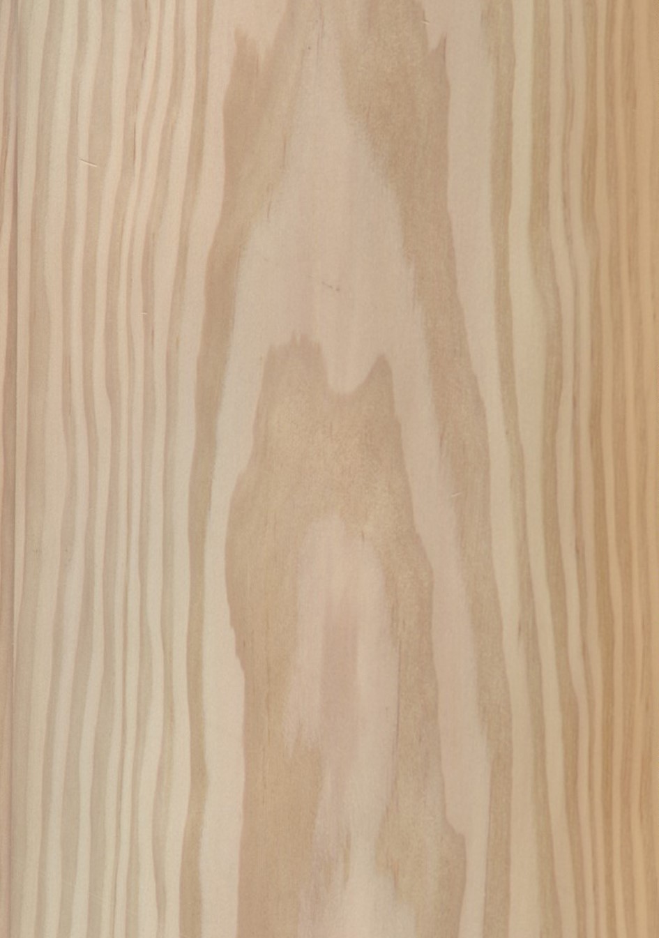 SG_Douglasie_Furnier_veneer_Aufbau_Detail__Large_