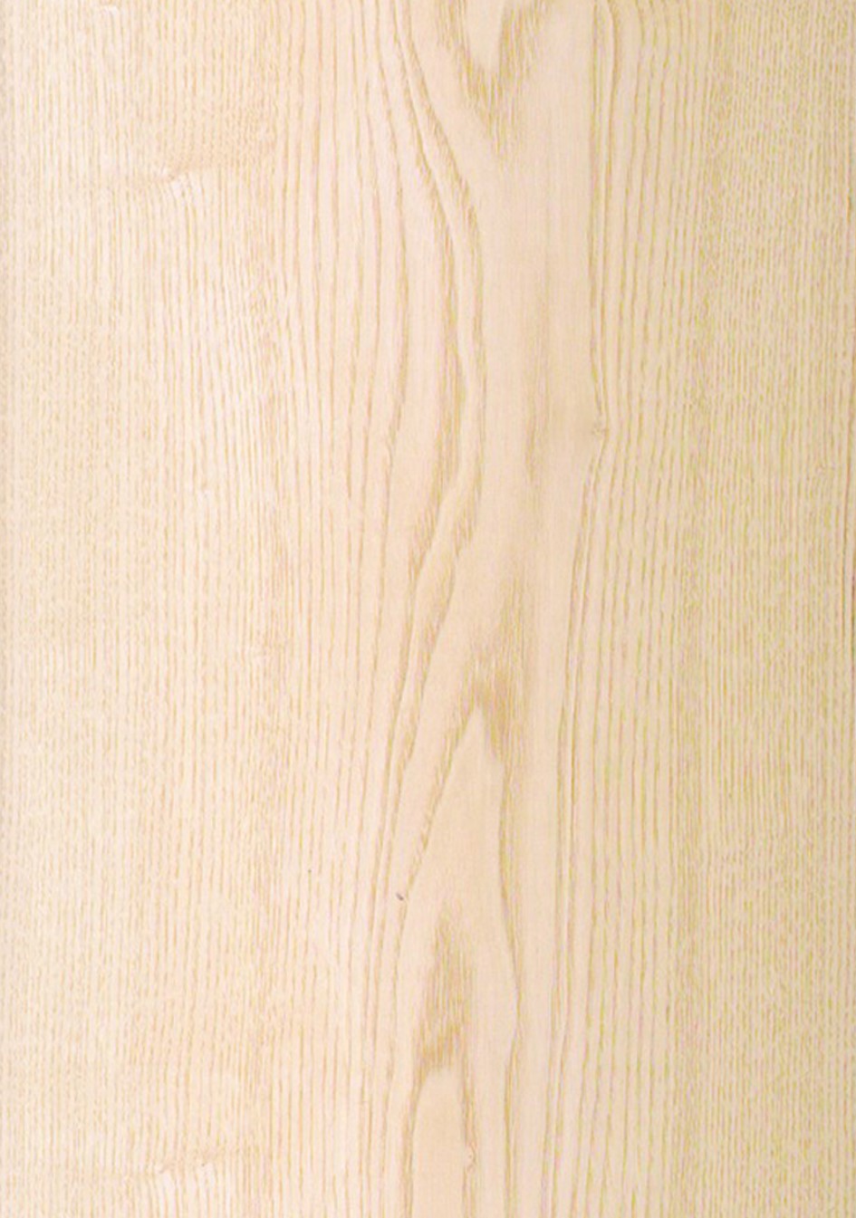 SG_Esche_Ash_Furnier_veneer_Aufbau_Detail__Large_