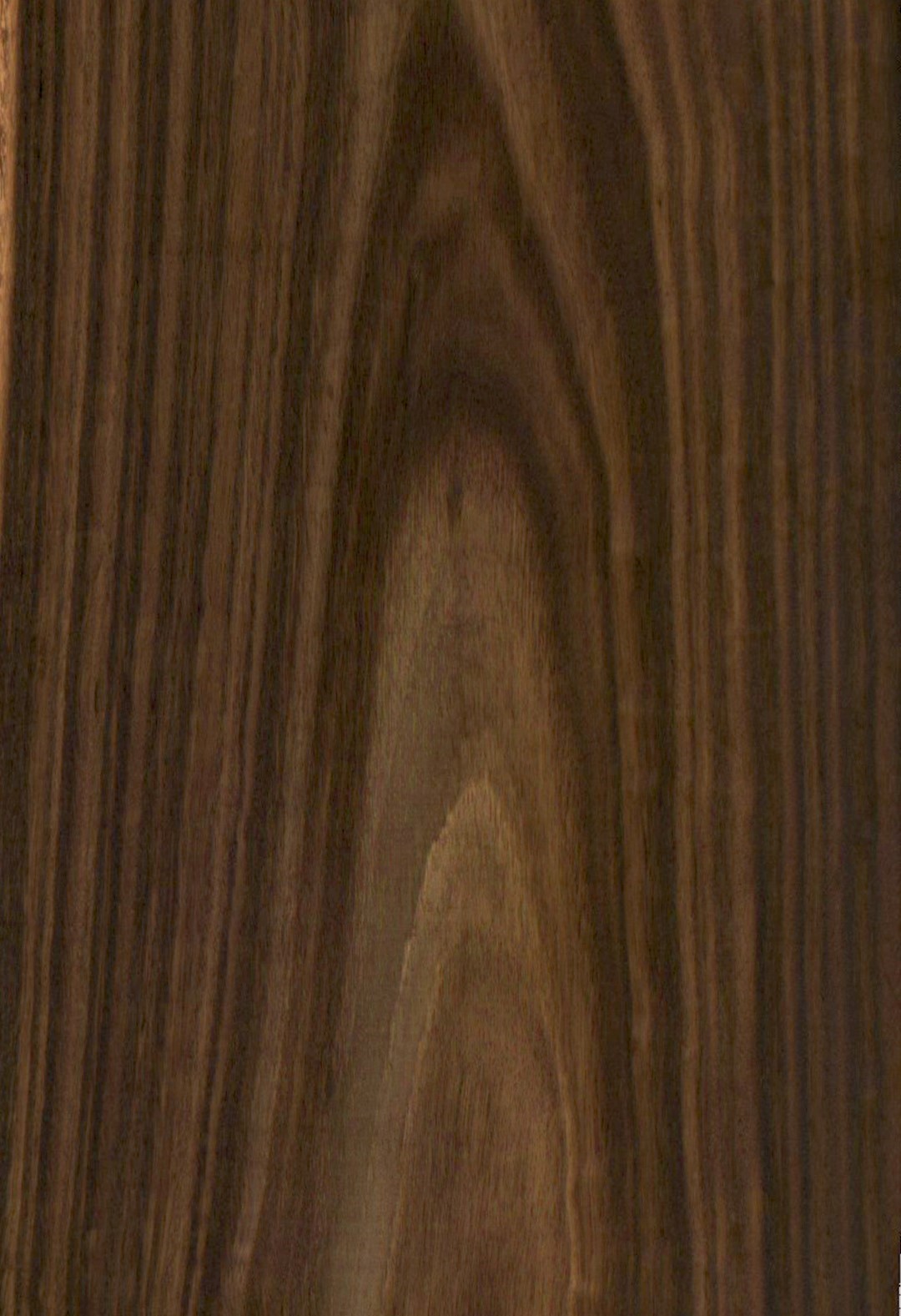 SG_Eukalyptus_smoked_Furnier_veneer_Aufbau_Furnierblatt_Detail__Large__01