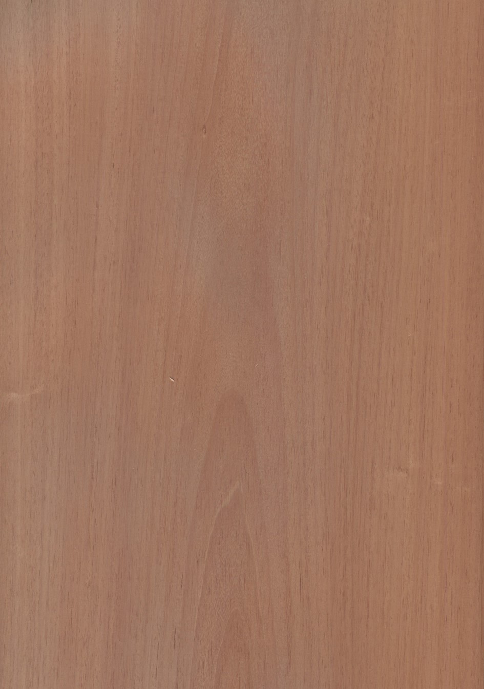 SG_Jequitiba_Furnier_veneer_Aufbau_Detail__Large_