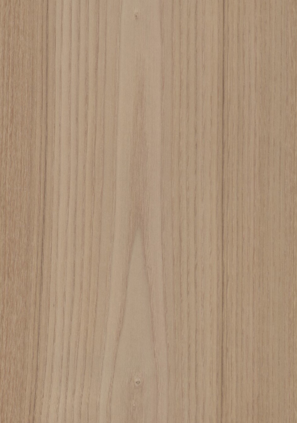 SG_Kastanie_Chestnut_Furnier_veneer_Aufbau_Detail__Large_