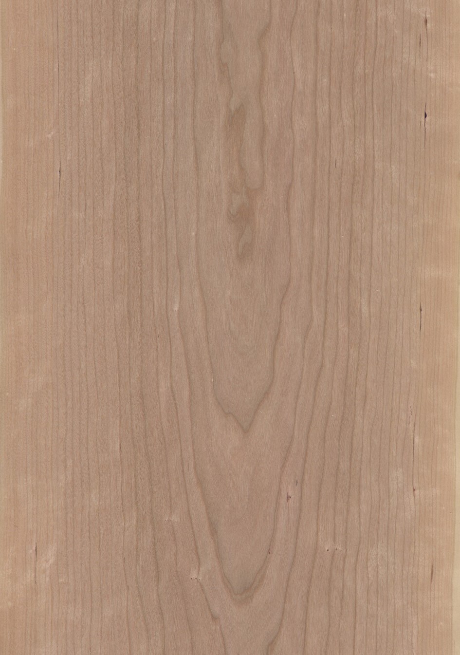 SG_Kirschbaum_Cherry_am_Furnier_veneer_Aufbau_Detail__Large_