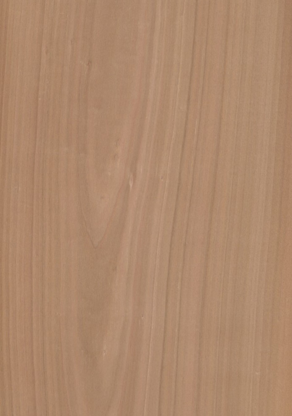 SG_Kirschbaum_Cherry_eur_Furnier_veneer_Aufbau_Detail__Large_