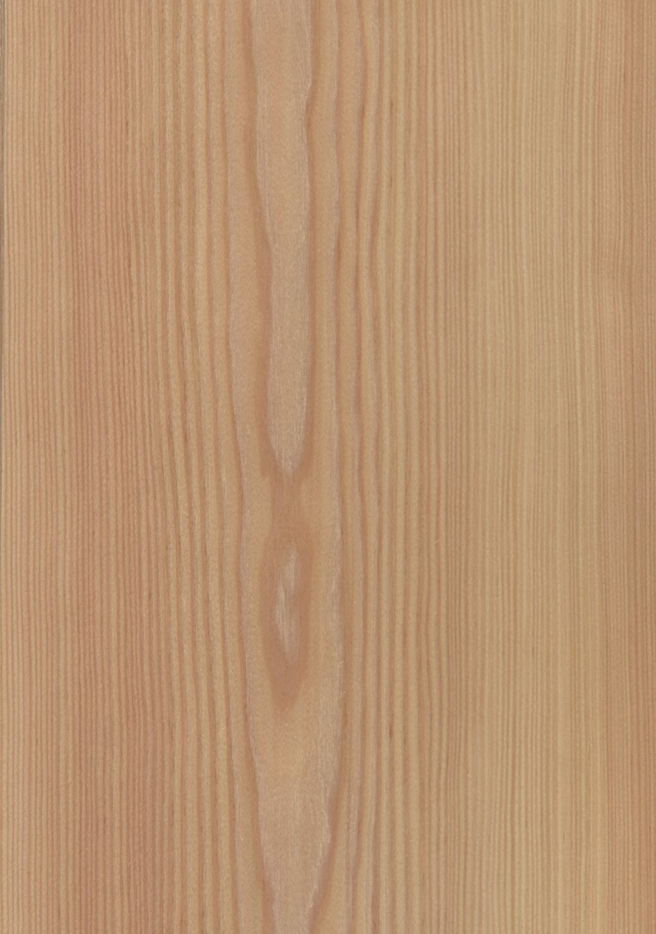 SG_Laerche_lerch_Furnier_veneer_Aufbau_Detail__Large_