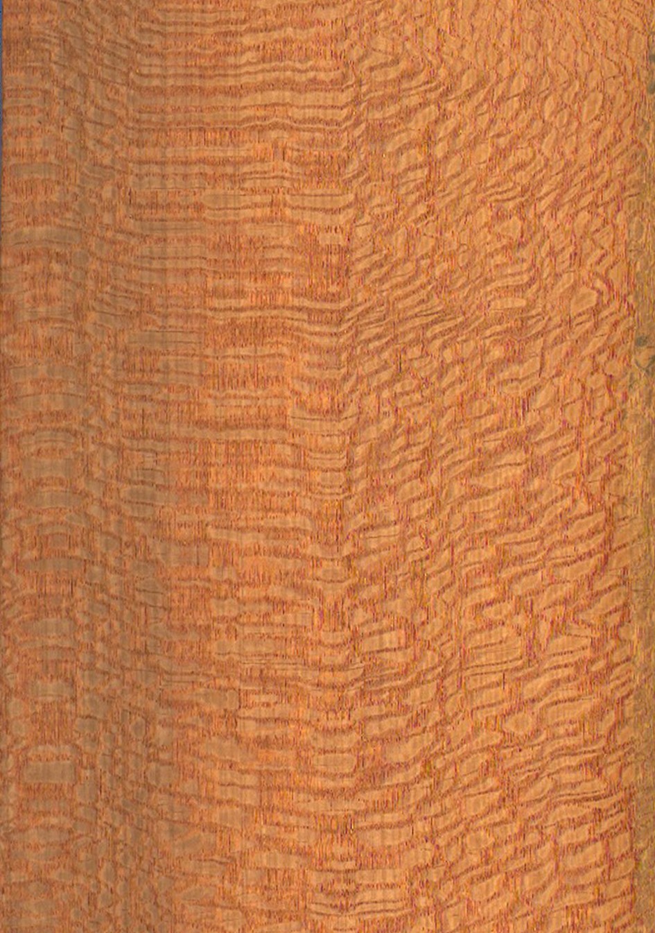 SG_Louro_Faia_Furnier_veneer_Rift_Detail__Large_