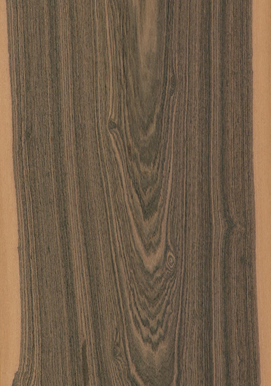 SG_Louro_preto_Furnier_veneer_Aufbau_Detail__Large_