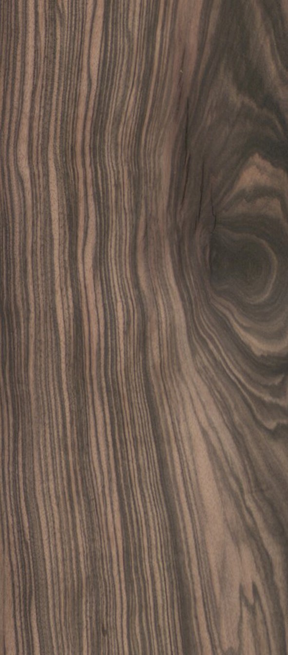 SG_Makassar_Macassar_Furnier_veneer_Rift_Detail__Large_