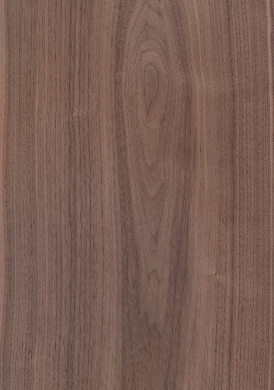SG_Nussbaum_Walnut_am_Furnier_veneer_Aufbau_Detail__Large_