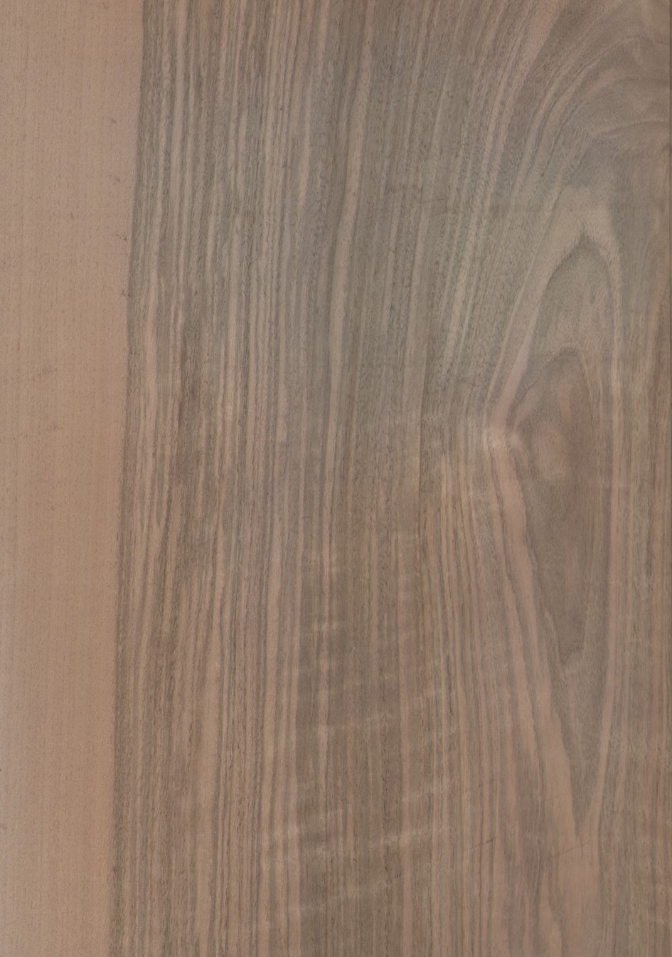 SG_Nussbaum_Walnut_franz_Furnier_veneer_Aufbau_Detail__Large_
