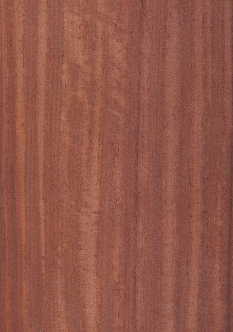 SG_Padouk_Furnier_veneer_Rift_Detail__Large_