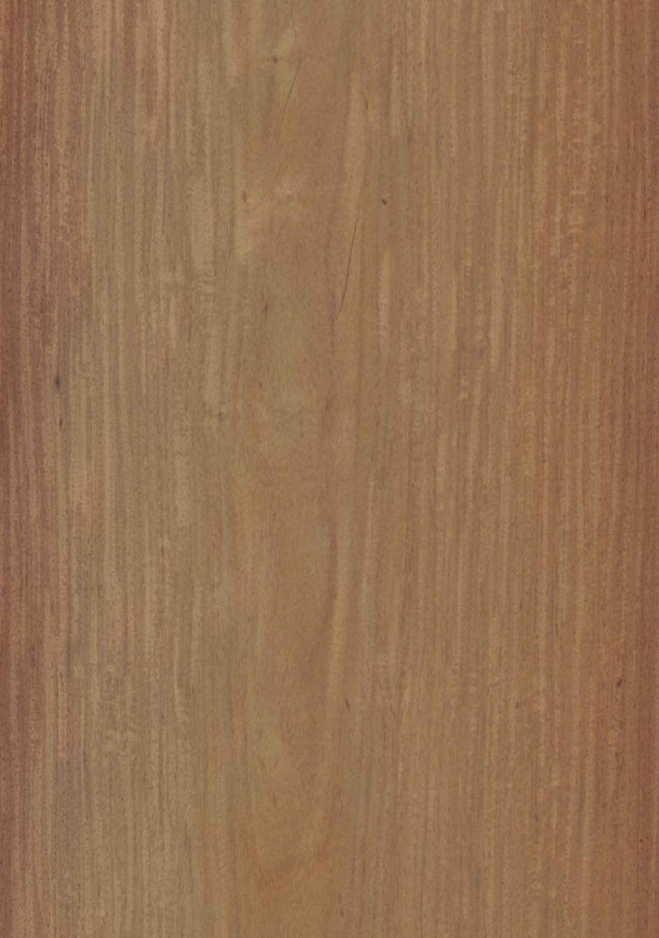 SG_Palisander_Burma_veneer_Aufbau_Detail__Large_