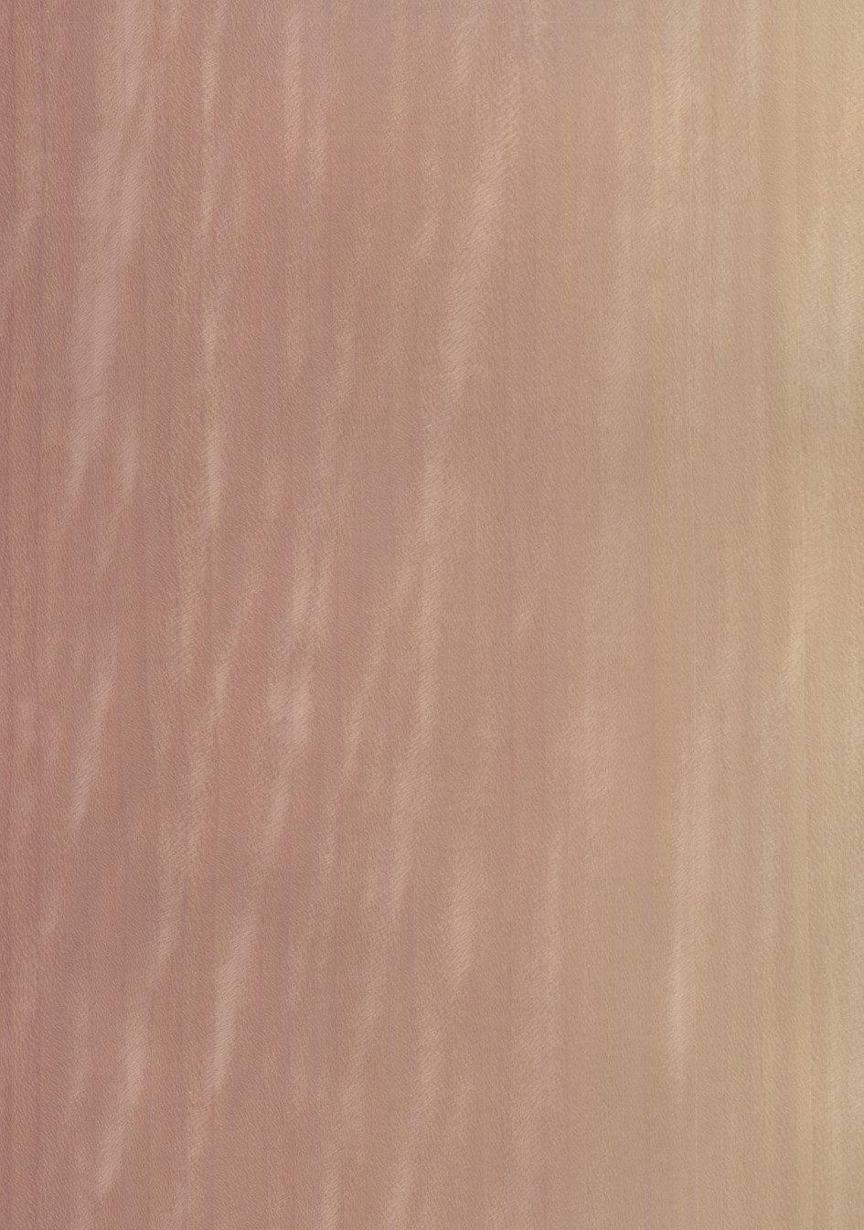 SG_Platane_gespiegelt_bookmatched_Furnier_Veneer_Detail__Large_