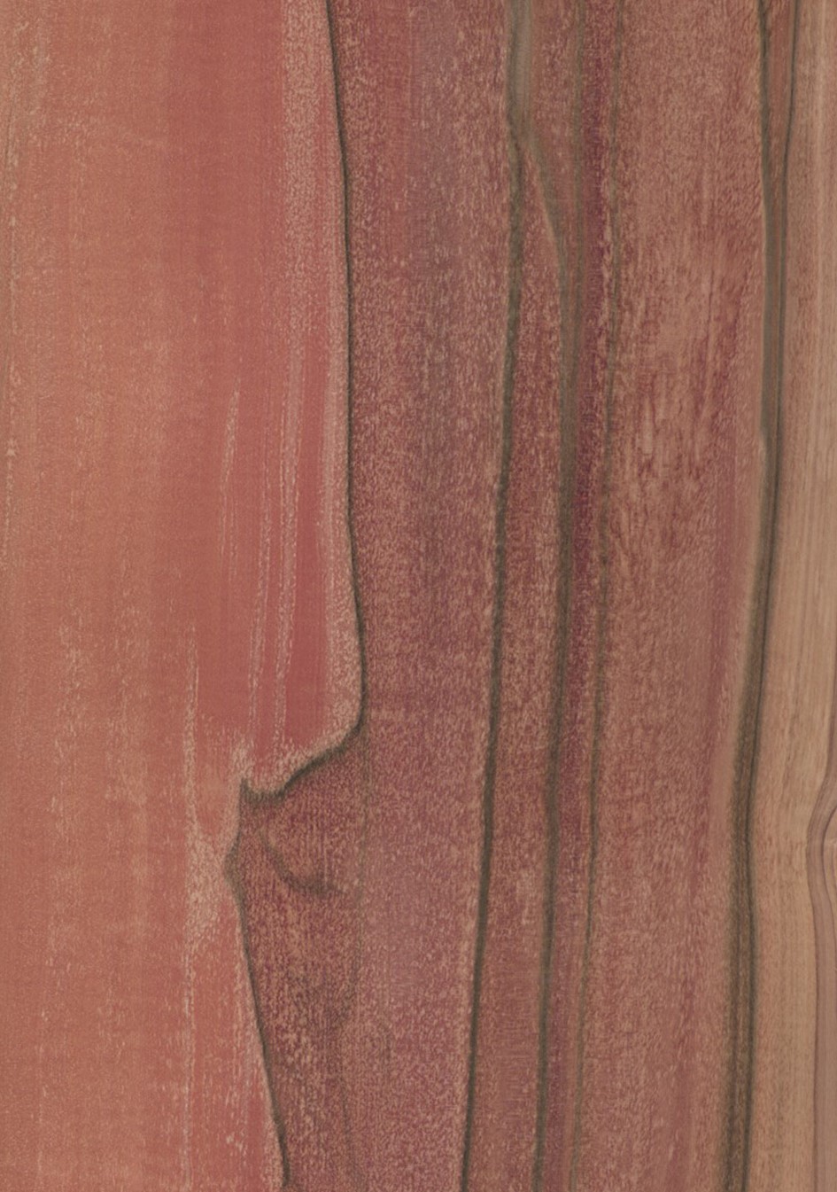SG_Tineo_Furnier_Veneer_Rift_Detail__Large_