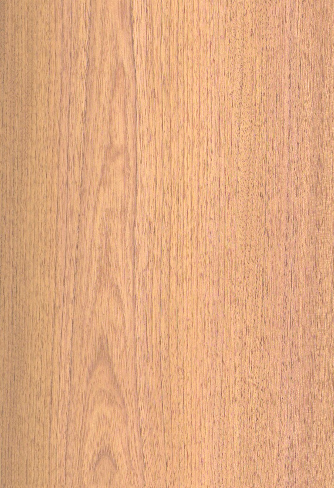 SG_Zeder_Cedar_bolivian_Furnier_veneer_Aufbau_Furnierblatt_Detail__Large_