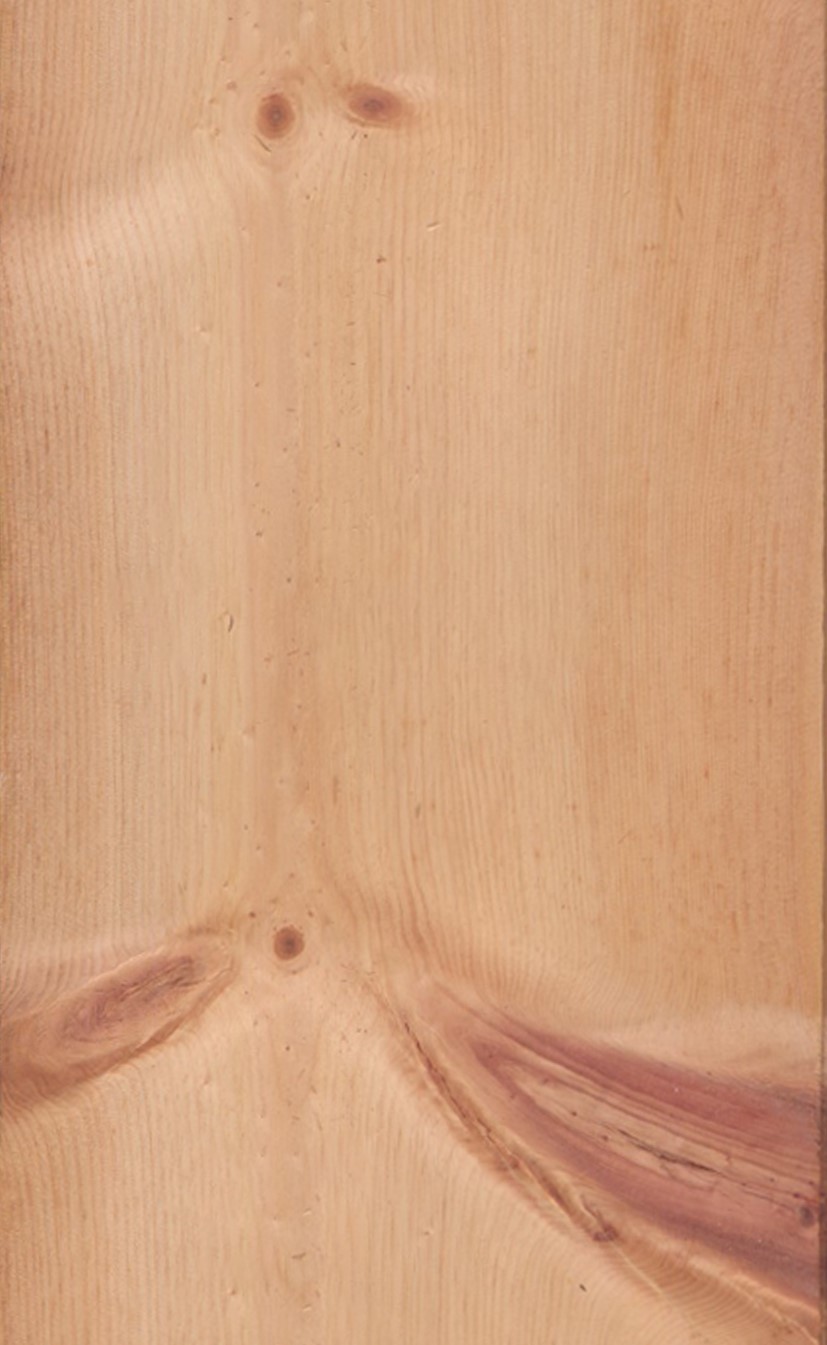 SG_Zirbelkiefer_Cembra_pine_Furnier_veneer_Detail__Large_