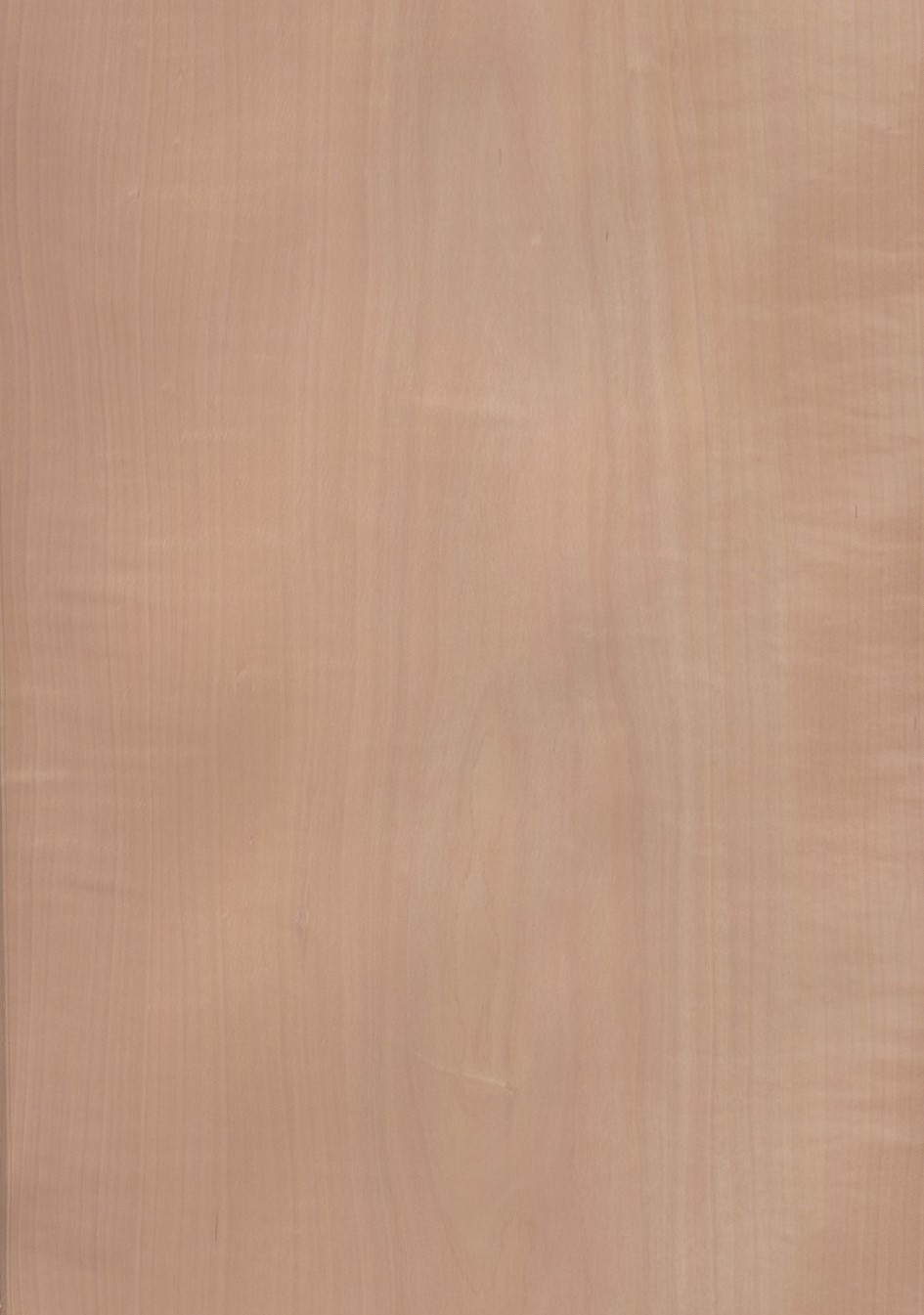 SG_elsbeere_Furnier_veneer_Aufbau_Detail__Large_