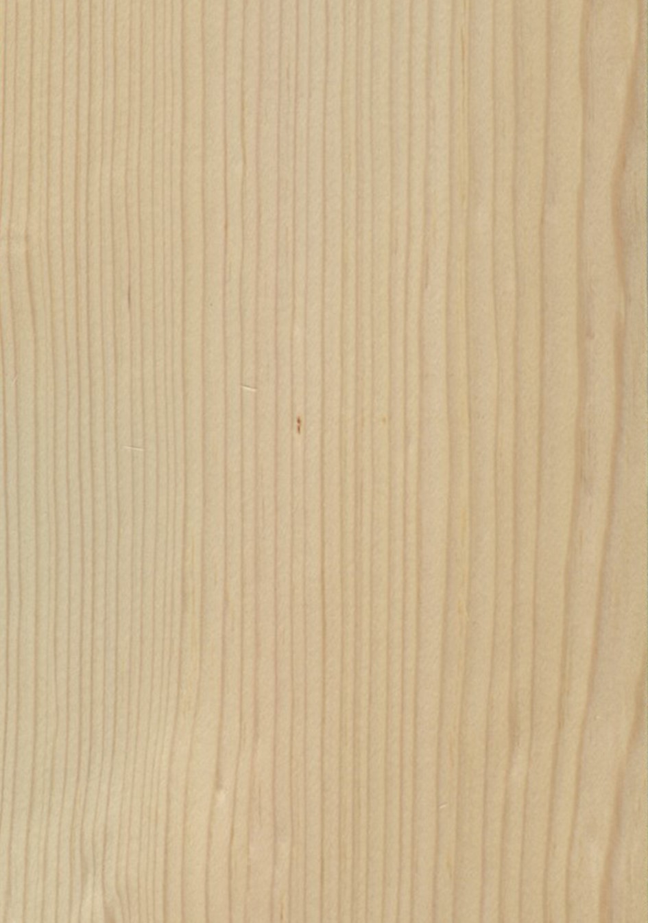 SG_fichte_spruce_Furnier_veneer_Aufbau_Detail__Large_