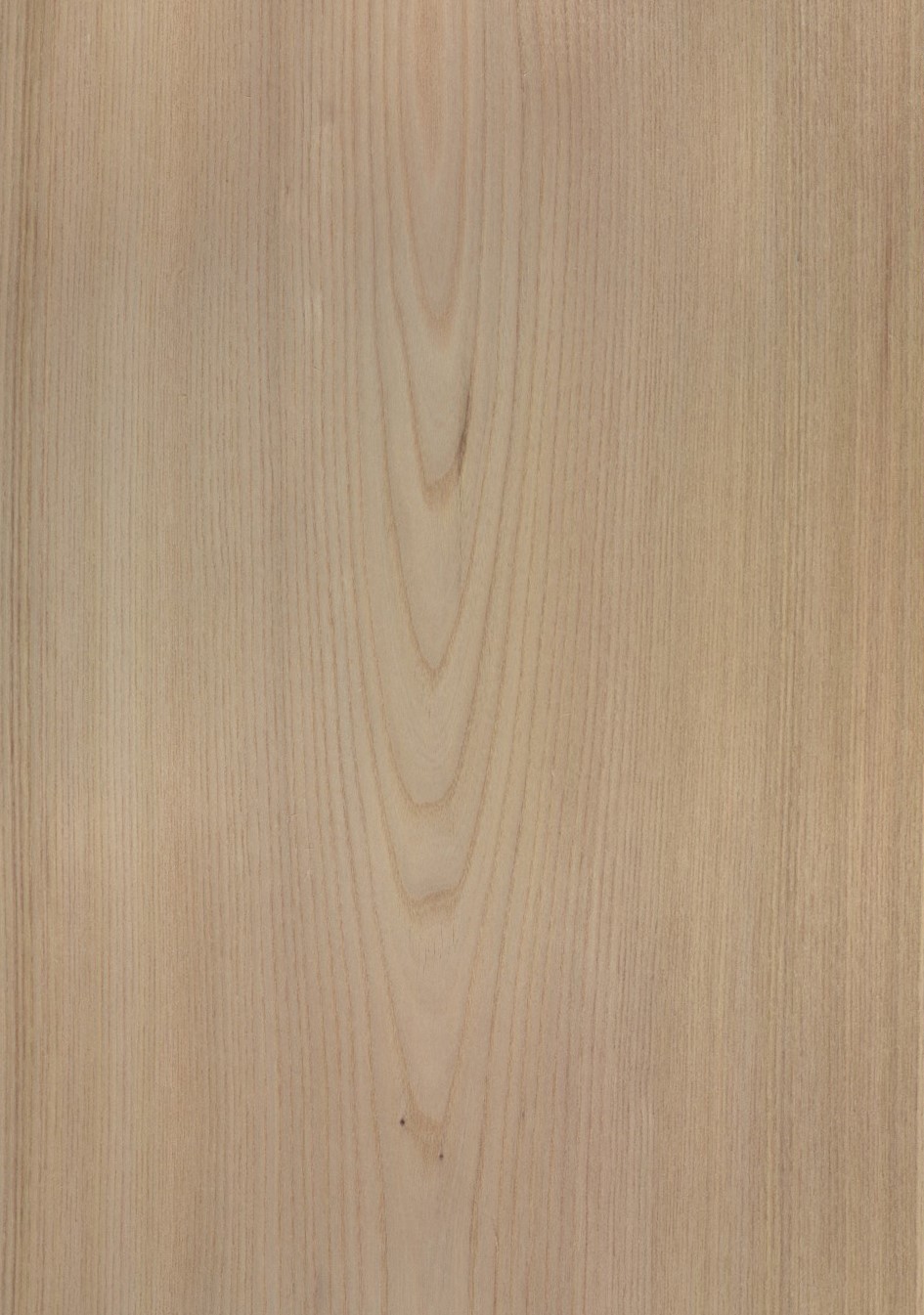 SG_ruester_grau_grey_Furnier_Veneer_Aufbau_Detail__Large_