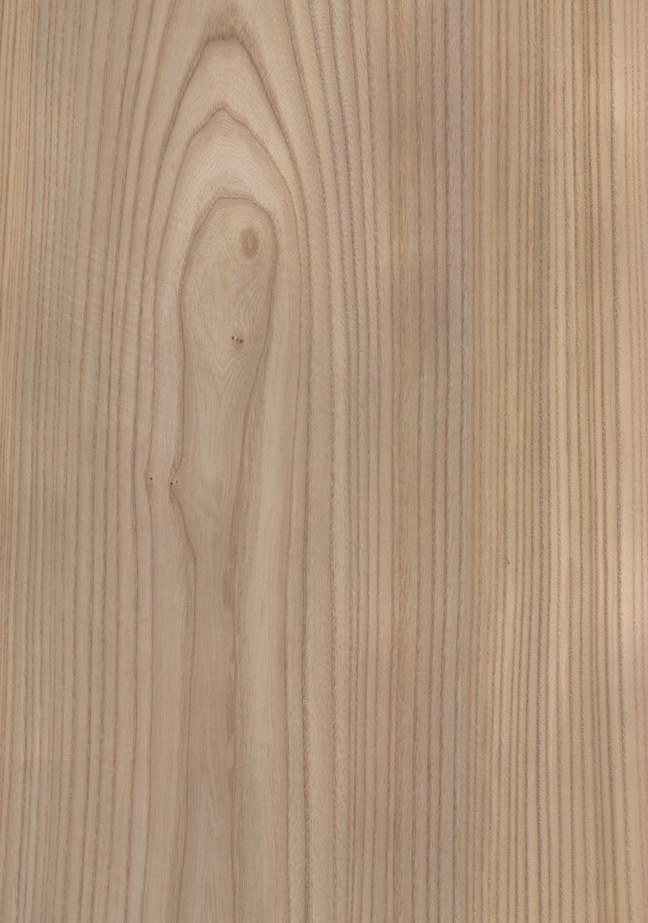 SG_ruester_rot_red_Furnier_Veneer_Aufbau_Detail__Large_