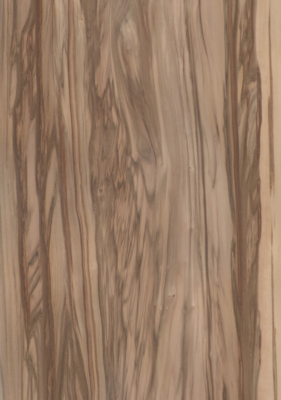 SG_satin_nussbaum_wallnut_Furnier_Veneer_Aufbau_Detail__Large_